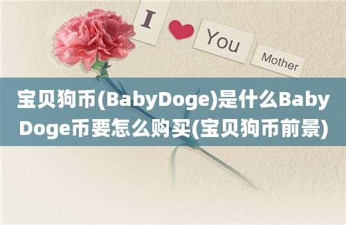 宝贝狗币(BabyDoge)是什么BabyDoge币要怎么购买(宝贝狗币前景)