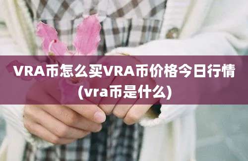 VRA币怎么买VRA币价格今日行情(vra币是什么)