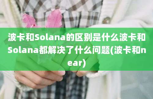 波卡和Solana的区别是什么波卡和Solana都解决了什么问题(波卡和near)