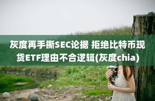 灰度再手撕SEC论据 拒绝比特币现货ETF理由不合逻辑(灰度chia)