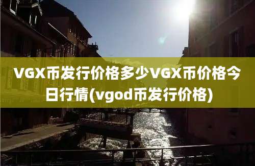 VGX币发行价格多少VGX币价格今日行情(vgod币发行价格)