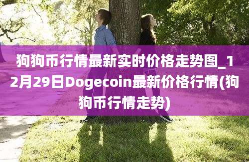 狗狗币行情最新实时价格走势图_12月29日Dogecoin最新价格行情(狗狗币行情走势)