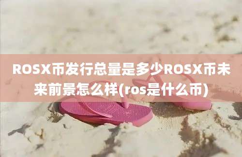 ROSX币发行总量是多少ROSX币未来前景怎么样(ros是什么币)