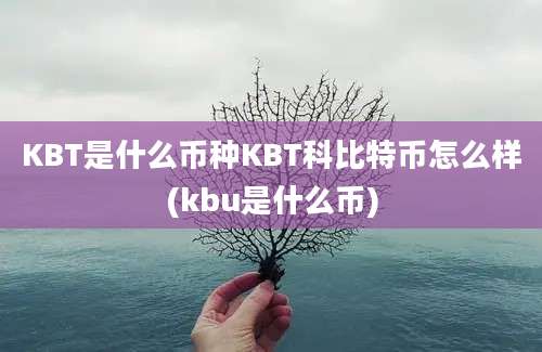 KBT是什么币种KBT科比特币怎么样(kbu是什么币)