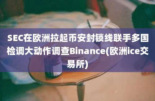 SEC在欧洲拉起币安封锁线联手多国检调大动作调查Binance(欧洲ice交易所)