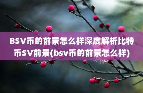 BSV币的前景怎么样深度解析比特币SV前景(bsv币的前景怎么样)