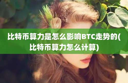 比特币算力是怎么影响BTC走势的(比特币算力怎么计算)