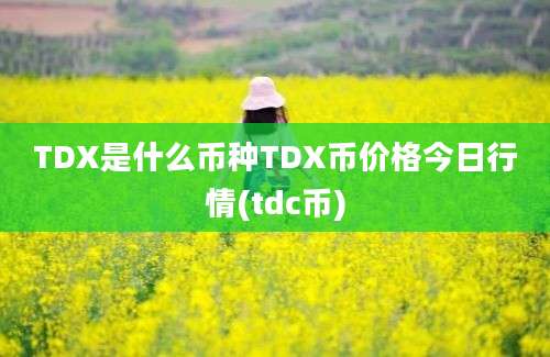 TDX是什么币种TDX币价格今日行情(tdc币)