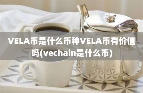 VELA币是什么币种VELA币有价值吗(vechain是什么币)