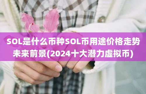 SOL是什么币种SOL币用途价格走势未来前景(2024十大潜力虚拟币)