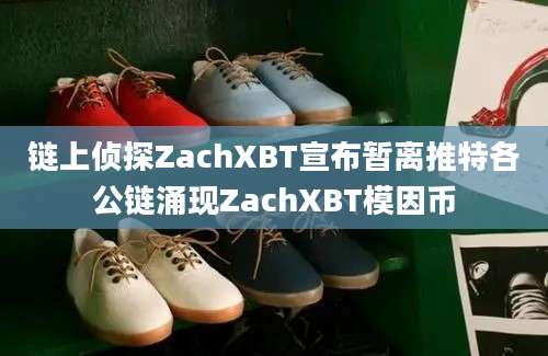 链上侦探ZachXBT宣布暂离推特各公链涌现ZachXBT模因币