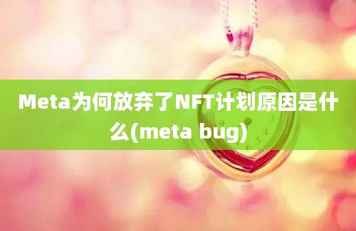 Meta为何放弃了NFT计划原因是什么(meta bug)