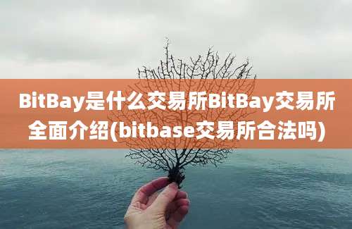 BitBay是什么交易所BitBay交易所全面介绍(bitbase交易所合法吗)