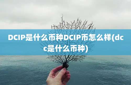 DCIP是什么币种DCIP币怎么样(dcc是什么币种)