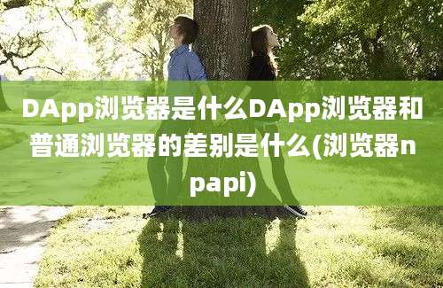 DApp浏览器是什么DApp浏览器和普通浏览器的差别是什么(浏览器npapi)