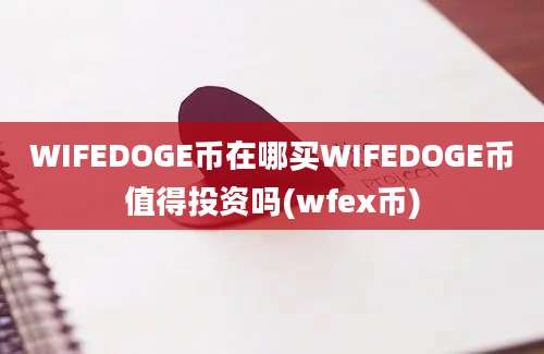 WIFEDOGE币在哪买WIFEDOGE币值得投资吗(wfex币)