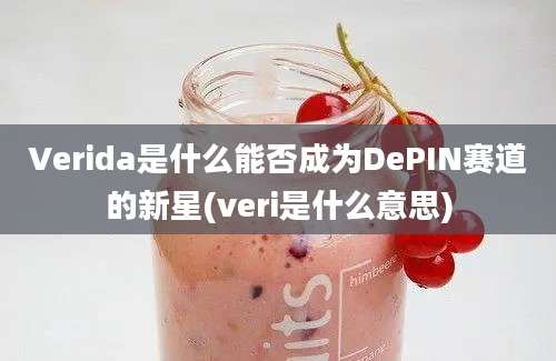 Verida是什么能否成为DePIN赛道的新星(veri是什么意思)