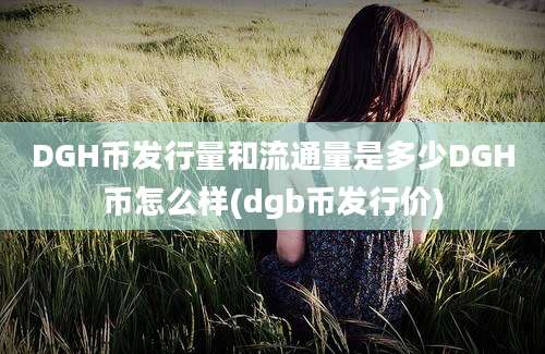 DGH币发行量和流通量是多少DGH币怎么样(dgb币发行价)