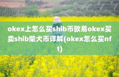 okex上怎么买shib币欧易okex买卖shib柴犬币详解(okex怎么买nft)