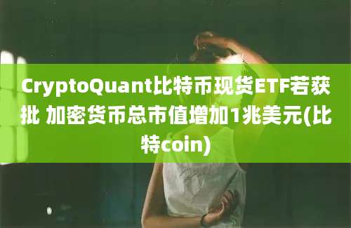 CryptoQuant比特币现货ETF若获批 加密货币总市值增加1兆美元(比特coin)