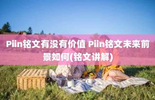 Piin铭文有没有价值 Piin铭文未来前景如何(铭文讲解)