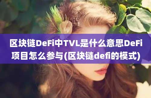 区块链DeFi中TVL是什么意思DeFi项目怎么参与(区块链defi的模式)