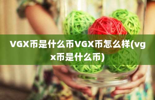 VGX币是什么币VGX币怎么样(vgx币是什么币)