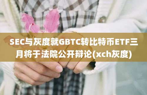 SEC与灰度就GBTC转比特币ETF三月将于法院公开辩论(xch灰度)