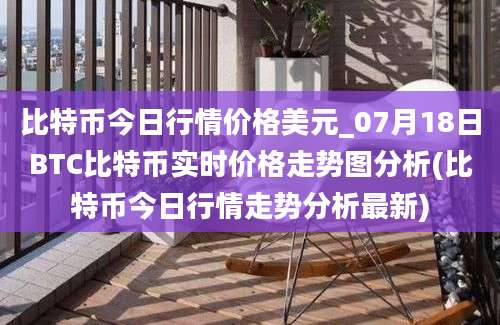 比特币今日行情价格美元_07月18日BTC比特币实时价格走势图分析(比特币今日行情走势分析最新)