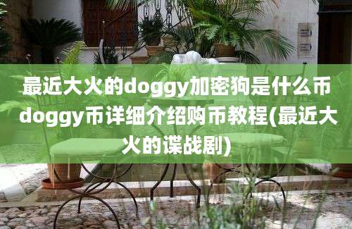 最近大火的doggy加密狗是什么币 doggy币详细介绍购币教程(最近大火的谍战剧)