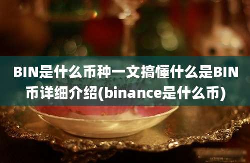 BIN是什么币种一文搞懂什么是BIN币详细介绍(binance是什么币)