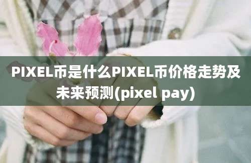 PIXEL币是什么PIXEL币价格走势及未来预测(pixel pay)