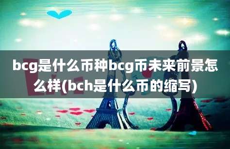 bcg是什么币种bcg币未来前景怎么样(bch是什么币的缩写)