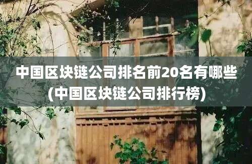 中国区块链公司排名前20名有哪些(中国区块链公司排行榜)