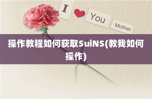 操作教程如何获取SuiNS(教我如何操作)