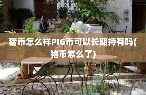 猪币怎么样PIG币可以长期持有吗(猪币怎么了)