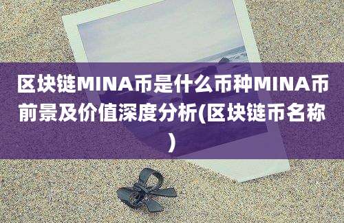 区块链MINA币是什么币种MINA币前景及价值深度分析(区块链币名称)