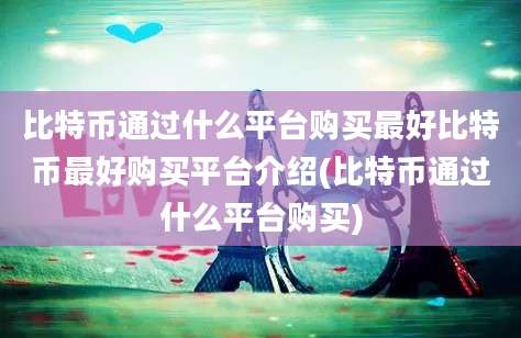 比特币通过什么平台购买最好比特币最好购买平台介绍(比特币通过什么平台购买)