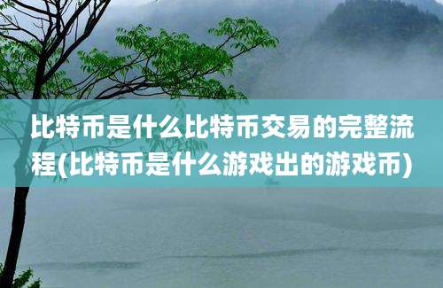 比特币是什么比特币交易的完整流程(比特币是什么游戏出的游戏币)