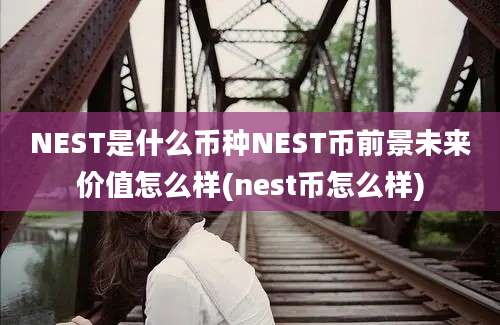 NEST是什么币种NEST币前景未来价值怎么样(nest币怎么样)