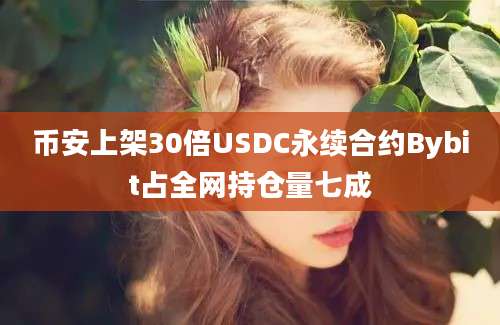 币安上架30倍USDC永续合约Bybit占全网持仓量七成