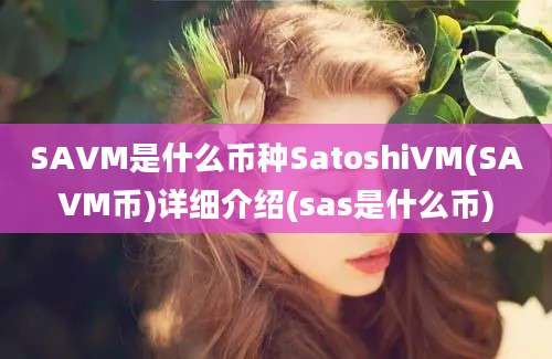 SAVM是什么币种SatoshiVM(SAVM币)详细介绍(sas是什么币)