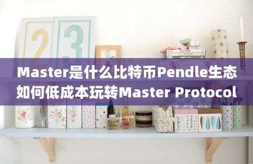 Master是什么比特币Pendle生态如何低成本玩转Master Protocol