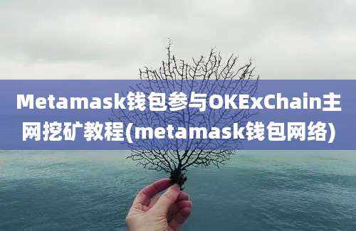 Metamask钱包参与OKExChain主网挖矿教程(metamask钱包网络)