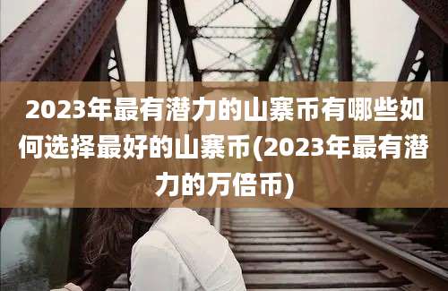 2023年最有潜力的山寨币有哪些如何选择最好的山寨币(2023年最有潜力的万倍币)