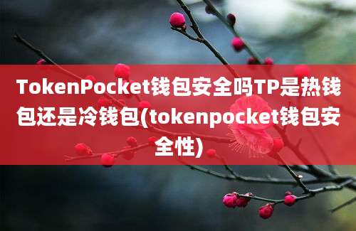 TokenPocket钱包安全吗TP是热钱包还是冷钱包(tokenpocket钱包安全性)