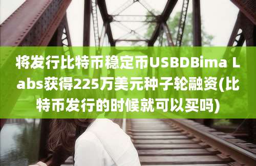 将发行比特币稳定币USBDBima Labs获得225万美元种子轮融资(比特币发行的时候就可以买吗)