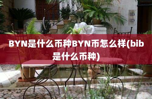 BYN是什么币种BYN币怎么样(bib是什么币种)