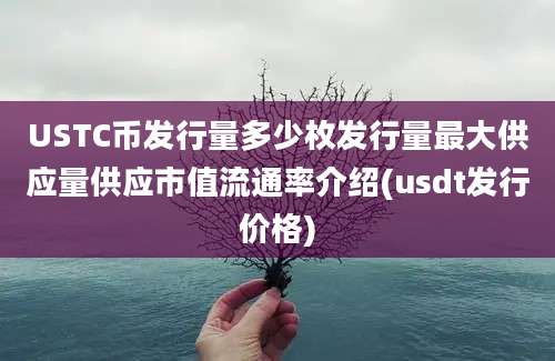 USTC币发行量多少枚发行量最大供应量供应市值流通率介绍(usdt发行价格)