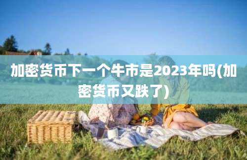 加密货币下一个牛市是2023年吗(加密货币又跌了)